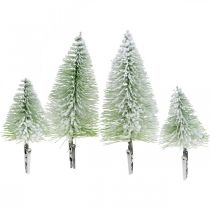 Kerstdecoratie besneeuwde clip Groen H13/19cm 4st