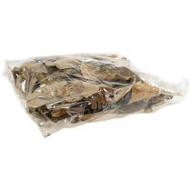 Artikel Boomspons natuurlijke decoratieve paddenstoelen gedroogd 6cm 1kg