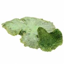 Artikel Boomspons groen wit gewassen 1kg