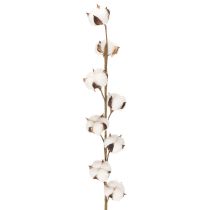 Artikel Kunstmatige katoentak met 8 echte bloemen, 78 cm