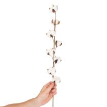 Artikel Kunstmatige katoentak met 8 echte bloemen, 78 cm
