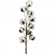 Katoenen tak natuurlijke decoratie 10 koppen op een draad katoenen decoratie 68cm