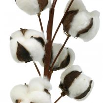 Katoenen tak natuurlijke decoratie 10 koppen op een draad katoenen decoratie 68cm