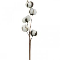 Artikel Katoenen takdecoratie Echte katoenen decoratieve tak 5 koppen 50cm