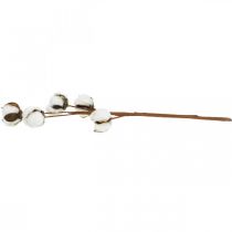 Artikel Katoenen takdecoratie Echte katoenen decoratieve tak 5 koppen 50cm