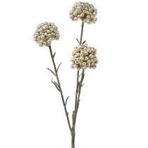 Artikel Decoratieve tak kunst bessentak champagne 46cm