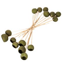 Artikel Klokvormige bloem op steel, groen, gedroogde exotische bloemen, 5 cm, 15 stuks