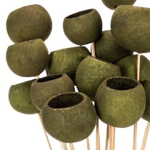 Artikel Klokvormige bloem op steel, groen, gedroogde exotische bloemen, 5 cm, 15 stuks