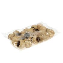 Artikel Bell Cup klein naturel 25 st