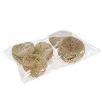 Artikel Gedroogd Fruit Bell Cup Natuurlijke Rouwdecoratie 8,5-11cm 10 st