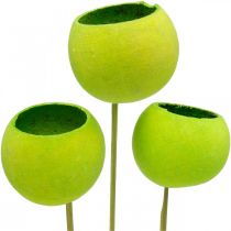 Artikel Bell Cup op stokje Groen Gedroogde Exoten 15 st