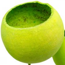 Artikel Bell Cup op stokje Groen Gedroogde Exoten 15 st