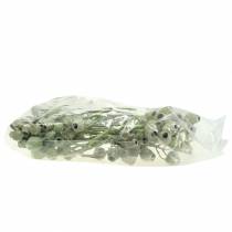 Artikel Bellgum tak 5cm - 7cm groen mat 20 st