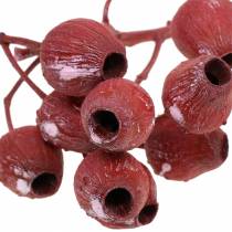 Artikel Bellgum tak 5cm - 7cm rood mat 20 st