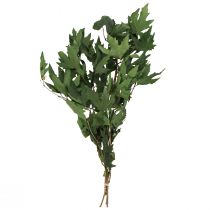Artikel Sycamore takken bladeren decoratieve esdoornbladeren groen 50-60cm 100g