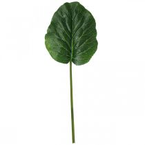 Artikel Groene kunstplant Bergenia Groene kunstplant 53cm