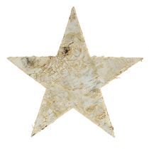 Artikel Berkensterren 9cm 70 st