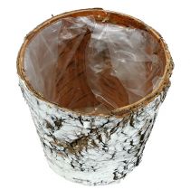 Artikel Berkenpot kleine plantenbak berken wit Ø10cm H8,5cm 6 st