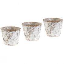 Artikel Pot met gebleekte berkenschors plantenpot Ø15cm H12,5cm 3 st