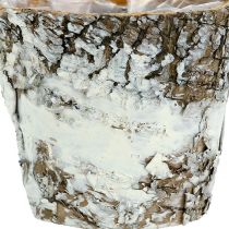 Artikel Berkenpot mini witte plantenbak plantenbak Ø7cm H7cm 10st