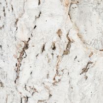 Artikel Berkenpot medium plantenpot berken wit Ø12cm H10.5cm 4 st.