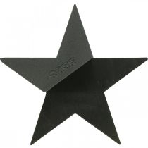 Artikel OASIS® Zwart Bioline® Steekschuim Ster Zwart H30cm 2 st