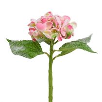Artikel Hortensia roze met sneeuw 33cm 4 st