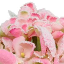 Hortensia roze gesneeuwd 33cm 4st