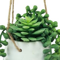 Artikel Hangmanden vetplanten kunstgroen assorti 18cm 3st