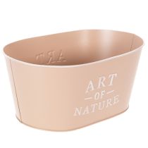 Artikel Ovale zinken bloempot, antieke roos, plantenbak, 27×18 cm, H12,5 cm