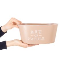 Artikel Ovale zinken bloempot, antieke roos, plantenbak, 27×18 cm, H12,5 cm