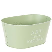Artikel Ovale bloemenvaas van zink, mintgroen, 27 x 18 cm, hoogte 12,5 cm