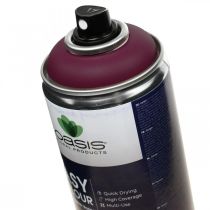 OASIS® Easy Color Spray, verfspray Erika 400ml
