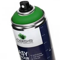 Artikel Easy Color Spray, groene verfspray, lentedecoratie 400ml