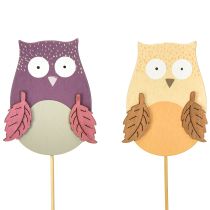 Artikel Bloemsteker deco uil hout paars, bruin 8cm 12st