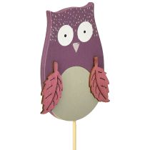 Artikel Bloemsteker deco uil hout paars, bruin 8cm 12st