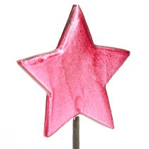 Artikel Bloemstokjes Sterren Decoratie Bes Ø7cm – 2e keus – 24 stuks