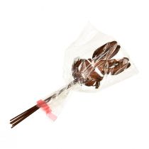 Artikel Bloemplug roest konijn decoratie 7,5 cm×11,5 cm 6 st