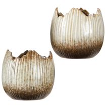 Artikel Bloempot Keramiek Ei Gebroken Crème Bruin Ø11.5cm 2 st.