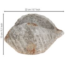 Artikel Bloempot schelpsteen antiek grijs maritiem 22×18×13cm