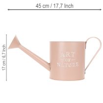 Artikel Vintage decoratieve bloempot/gieter, antiek roze zink, Ø16,5 cm H17 cm
