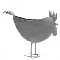 Artikel Bloempot kip metaal vogel zink metaal decoratie 51×16×37cm