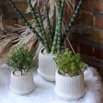 Bloempot keramiek plantenbak met groeven wit Ø14,5cm H12,5cm