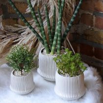 Bloempot keramiek plantenbak met groeven wit Ø12cm H10,5cm