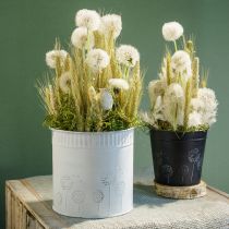 Artikel Plantenbak paardenbloem bloempot wit Ø12,5cm H14cm
