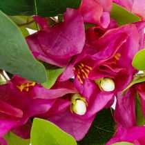Artikel Kunstmatige bougainvillea-bloemtak voor lentedecoratie, 100 cm