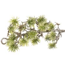 Artikel Kunstmatige bonsai-slinger, fijn met sneeuw bedekt, 180 cm