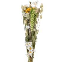 Artikel Boeket gedroogde bloemen, elegant boeket gedroogde bloemen voor de woonkamer, 50 cm