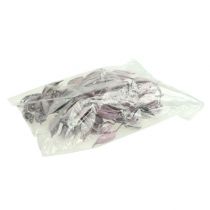 Artikel Brachyciton braam frosted 500g