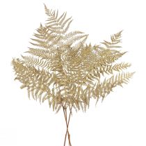 Artikel Droogbloemen decoratieve varen gedroogde varenbladeren 70cm 10 st